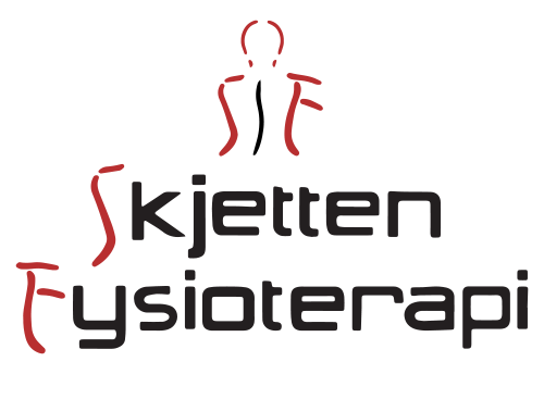 Skjetten fysioterapi logo